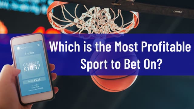 베팅하기에 가장 수익성이 높은 스포츠 image